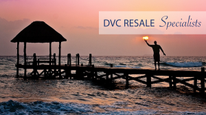 dvc-home-slider