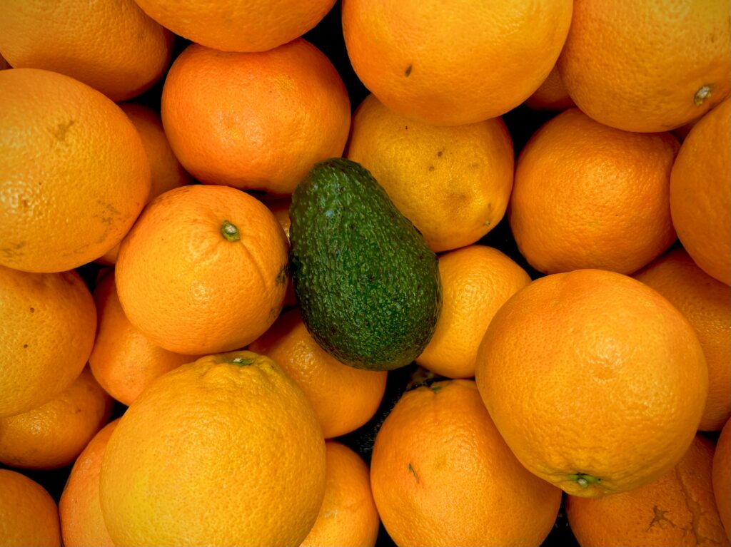 a bushel of oranges with one avocado in the middle