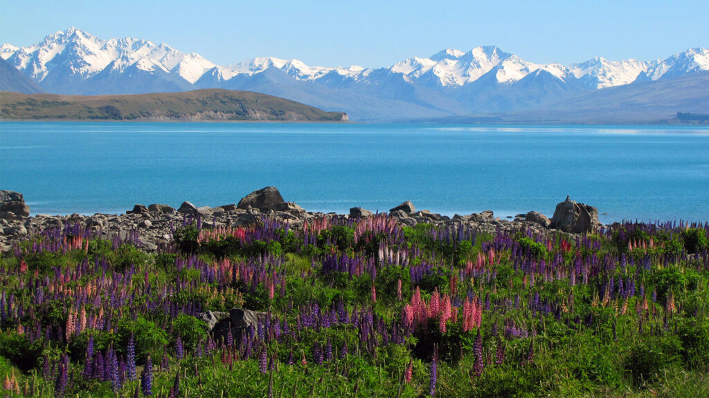 Exploring New Zealand