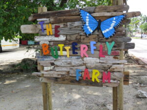 Butterfly Farm in Aruba